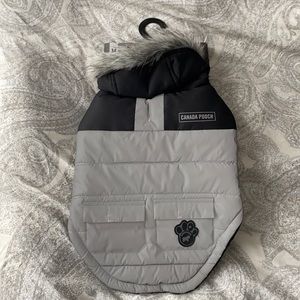 Canada Pooch True North Insulated Dog Parka Gray